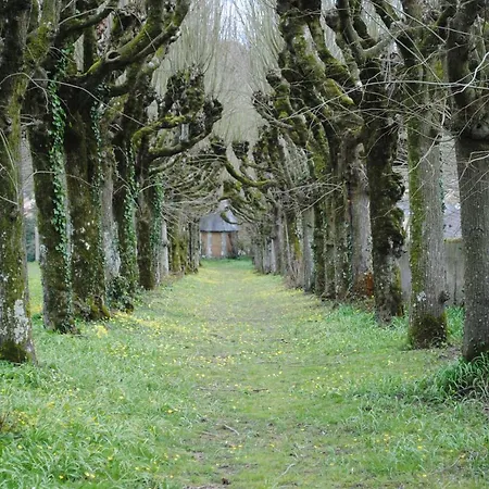 Au Chateau - Domaine De La Gavolerie Panzió