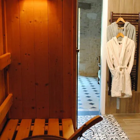 Au Chateau - Domaine De La Gavolerie 4* Bessé-sur-Braye